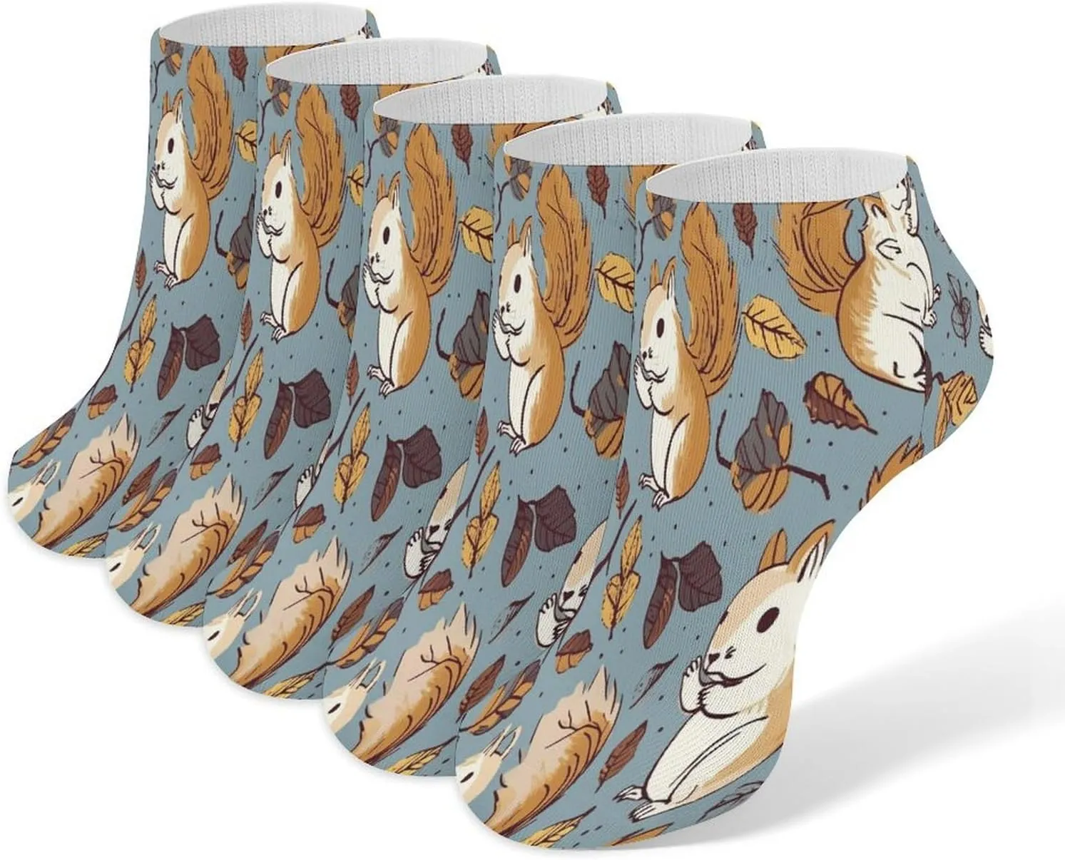 Cute Squirrel Casual Socks Soft Moisture-Wicking Socks Low Cut Invisible Liner Ankle Sock (5 Pairs)